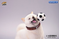 1/6 Scale Shiba Inu with football (white)