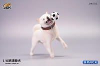 1/6 Scale Shiba Inu with football (white)