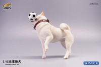 1/6 Scale Shiba Inu with football (white)