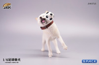 1/6 Scale Shiba Inu with football (white)