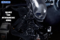 Deluxe Alien Mezco Designer Series (Alien)