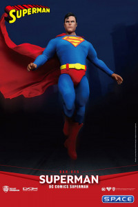 Superman Dynamic Action Heroes (DC Comics)