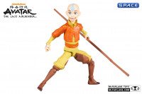 Aang (Avatar: The Last Airbender)