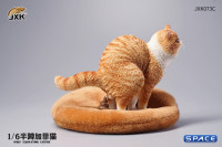1/6 Scale half squatting Exotic Shorthair Cat (red)