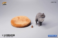 1/6 Scale half squatting Exotic Shorthair Cat (grey)