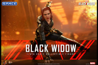 1/6 Scale Black Widow Movie Masterpiece MMS603 (Black Widow)