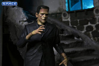 Ultimate Frankensteins Monster - color ver. (Universal Monster)