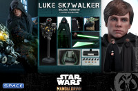 1/6 Scale Luke Skywalker Deluxe Version DX23 (The Mandalorian)