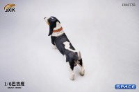 1/6 Scale Basset Hound (black)