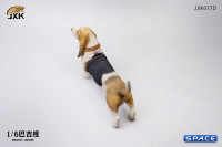 1/6 Scale Basset Hound (brown/black)