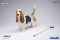 1/6 Scale Basset Hound (brown/black)