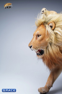 1/6 Scale Lion (brown)