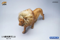 1/6 Scale Lion (brown)