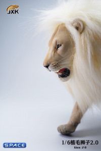 1/6 Scale Lion (white)