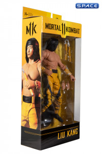 Liu Kang Fighting Abbot (Mortal Kombat 11)