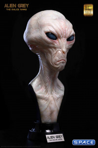 1:1 Alien Grey Life-Size Bust (The Dulce Wars)