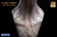 1:1 Alien Grey Life-Size Bust (The Dulce Wars)