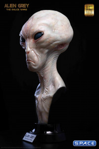 1:1 Alien Grey Life-Size Bust (The Dulce Wars)