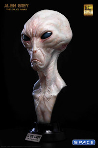 1:1 Alien Grey Life-Size Bust (The Dulce Wars)