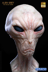 1:1 Alien Grey Life-Size Bust (The Dulce Wars)