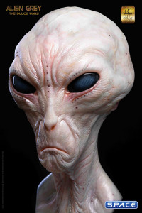 1:1 Alien Grey Life-Size Bust (The Dulce Wars)