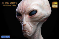 1:1 Alien Grey Life-Size Bust (The Dulce Wars)