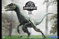 1/10 Scale Blue Prime Collectible Figures Statue (Jurassic World)