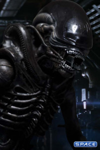 1/12 Scale Alien One:12 Collective (Alien)