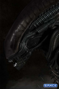 1/12 Scale Alien One:12 Collective (Alien)