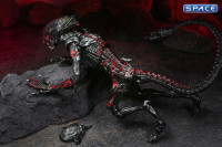 Ultimate Night Cougar Alien Kenner Tribute (Aliens)