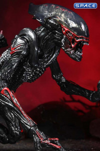 Ultimate Night Cougar Alien Kenner Tribute (Aliens)