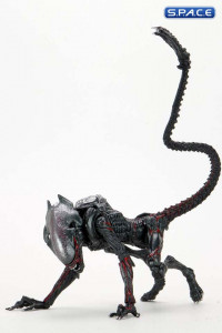 Ultimate Night Cougar Alien Kenner Tribute (Aliens)