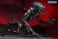 Ultimate Night Cougar Alien Kenner Tribute (Aliens)