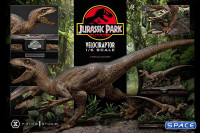 1/6 Scale Velociraptor Attack Legacy Museum Collection Statue (Jurassic Park)