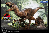 1/6 Scale Velociraptor Attack Legacy Museum Collection Statue (Jurassic Park)