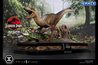 1/6 Scale Velociraptor Attack Legacy Museum Collection Statue (Jurassic Park)