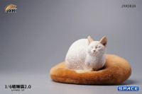 1/6 Scale lethargic Cat 2.0 (white)