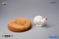 1/6 Scale lethargic Cat 2.0 (white)