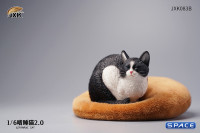 1/6 Scale lethargic Cat 2.0 (black/white)