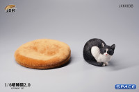 1/6 Scale lethargic Cat 2.0 (black/white)