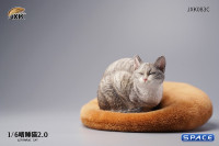 1/6 Scale lethargic Cat 2.0 (grey)