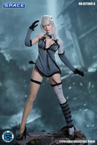 1/6 Scale Robot Girl Character Set