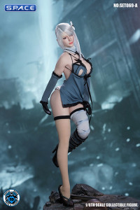 1/6 Scale Robot Girl Character Set