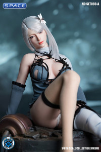 1/6 Scale Robot Girl Character Set