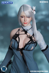 1/6 Scale Robot Girl Character Set