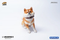 1/6 Scale sitting Shiba Inu Dont go Home (brown)