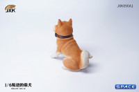 1/6 Scale sitting Shiba Inu Dont go Home (brown)