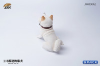 1/6 Scale sitting Shiba Inu Dont go Home (white)