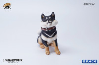 1/6 Scale sitting Shiba Inu Dont go Home (black)