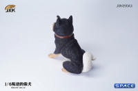 1/6 Scale sitting Shiba Inu Dont go Home (black)